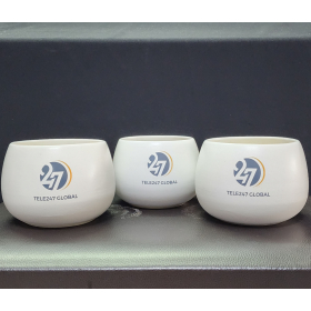 Quà tặng chậu cây gốm sứ in logo
